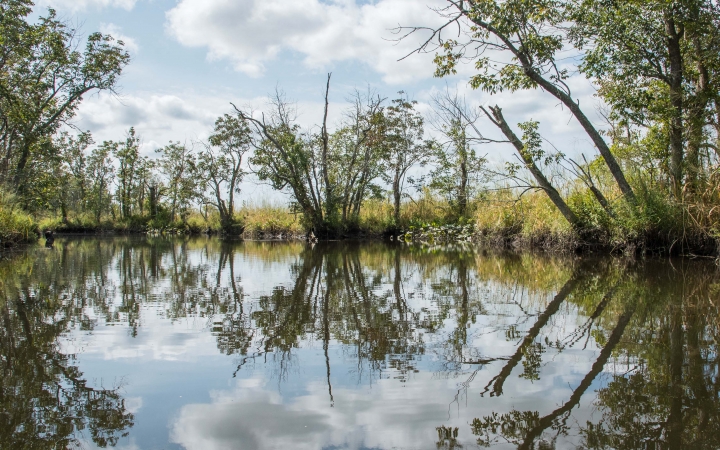 a small body of water reflects the trees and grasses surrounding it, as well as the sky above, dotted with clouds. 